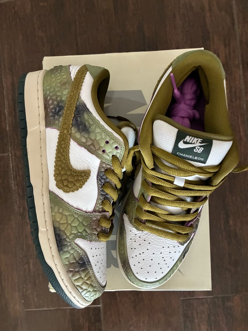 Brand New Nike SB Dunk Low Pro Chameleon. Men’s size 10